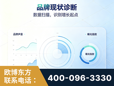 子长-品牌现状诊断