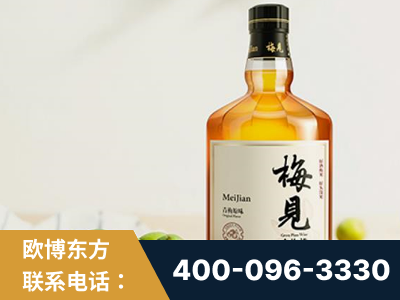 子长-梅见青梅酒